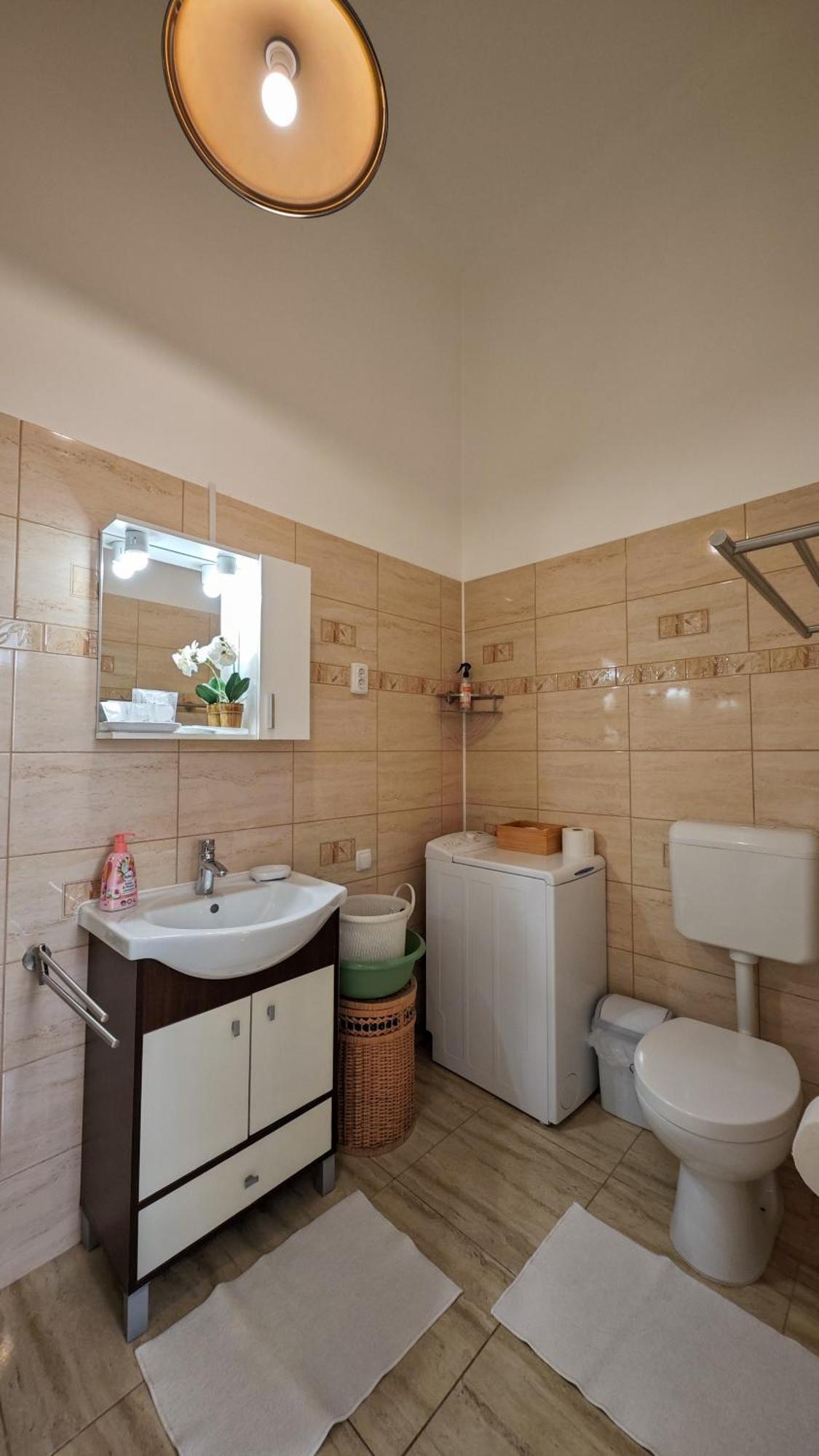 Neuhausz Residenz Ultra-Central Apartment Тімішоара Екстер'єр фото
