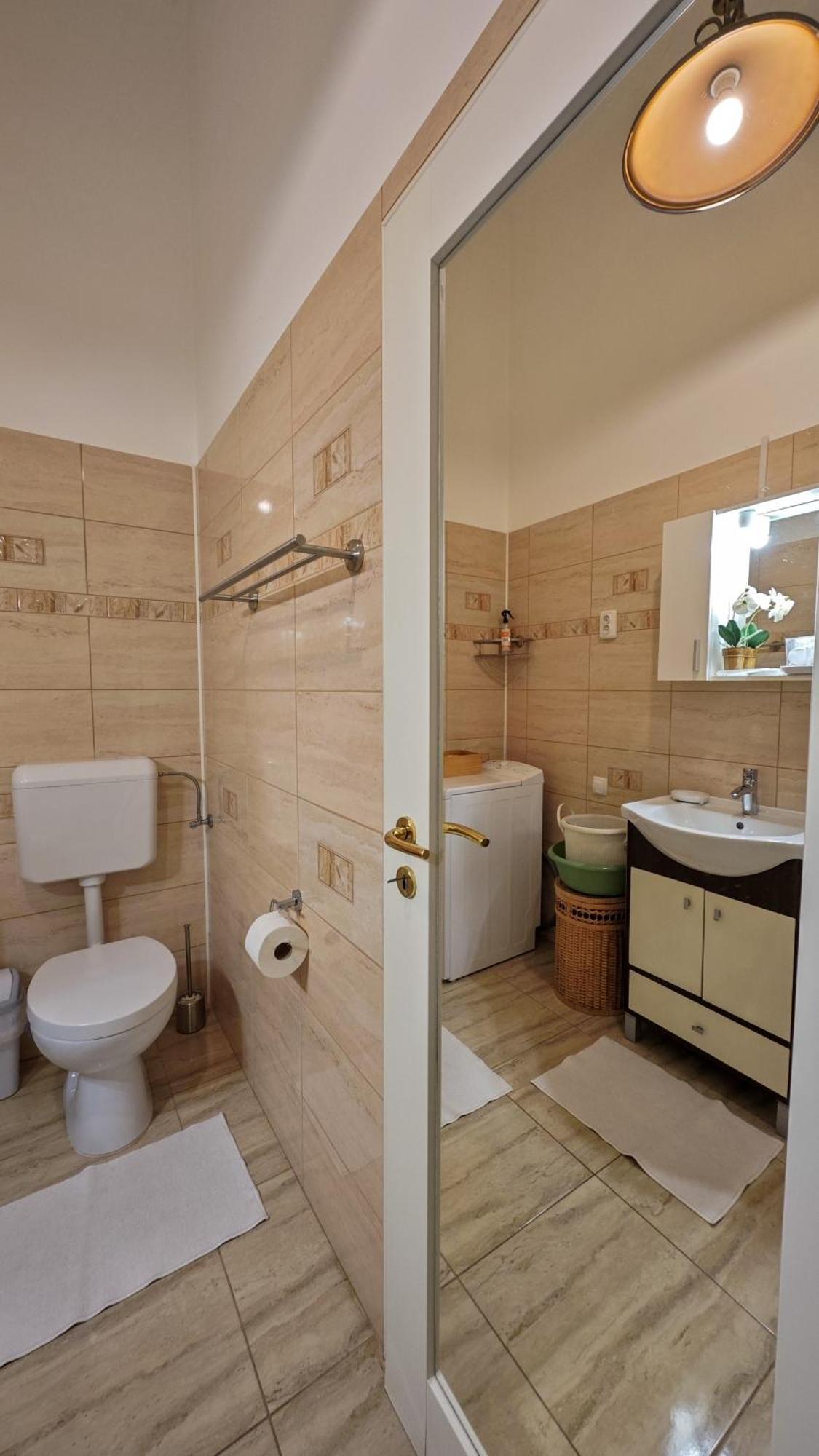 Neuhausz Residenz Ultra-Central Apartment Тімішоара Екстер'єр фото