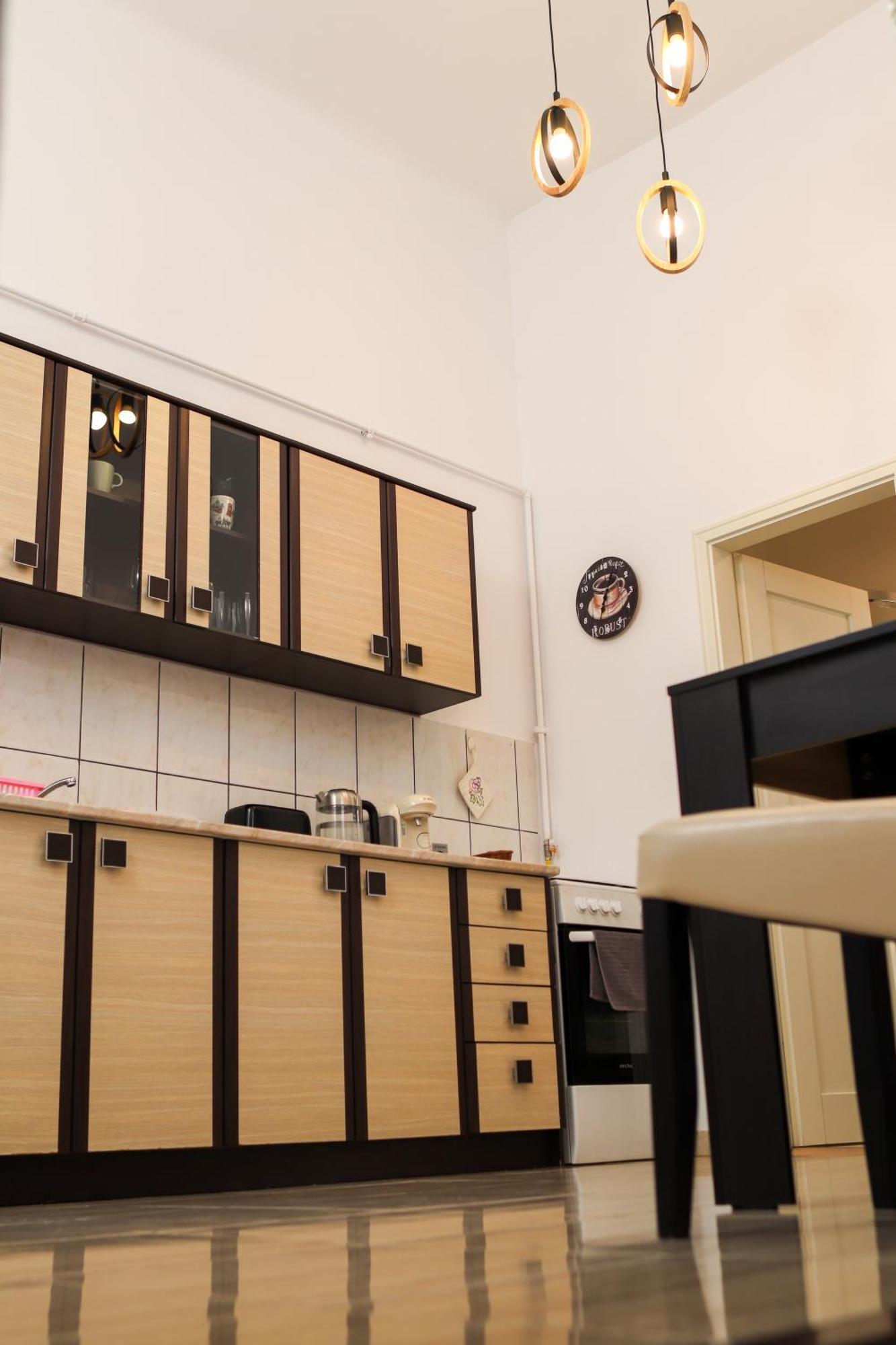 Neuhausz Residenz Ultra-Central Apartment Тімішоара Екстер'єр фото